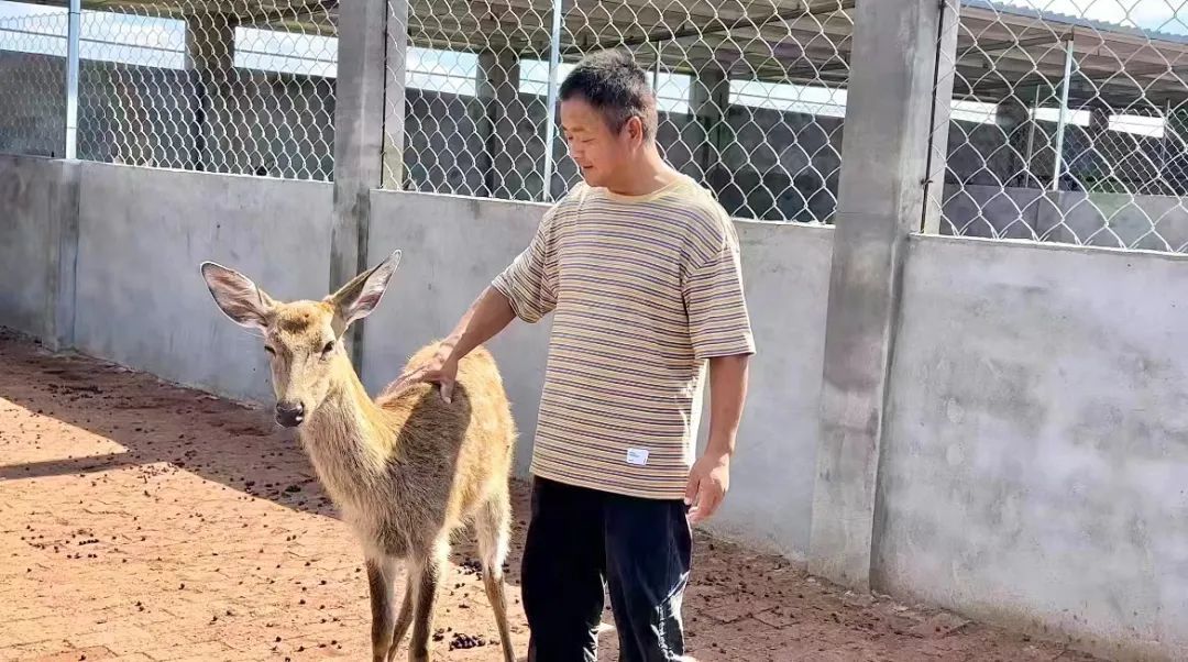 百旺官网下载